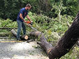 Best Emergency Tree Removal  in Beattystown, NJ